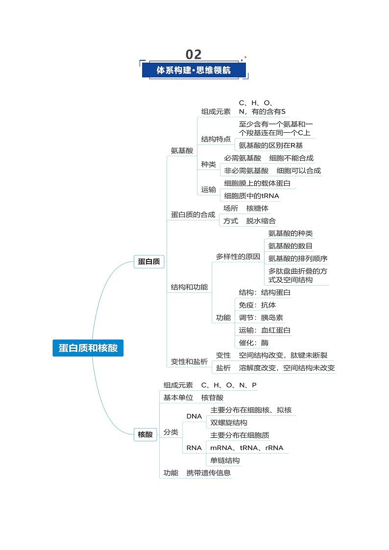 高考生物二轮-蛋白质和核酸（复习讲义）（全国通用）（解析版）第3页