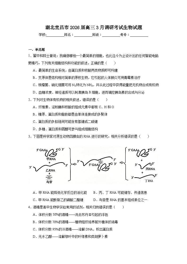 2026年湖北宜昌市高三下学期3月调研考试生物试题（附答案解析）第1页