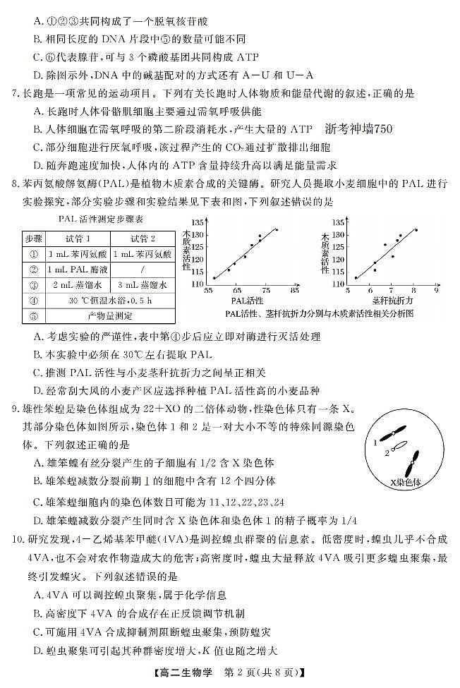 生物卷-2603高二强基联盟第2页