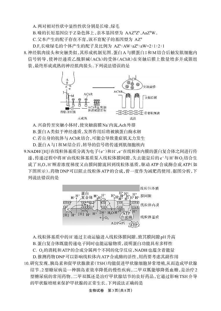 德阳市高中2022级质量监测考试（二）生物第3页