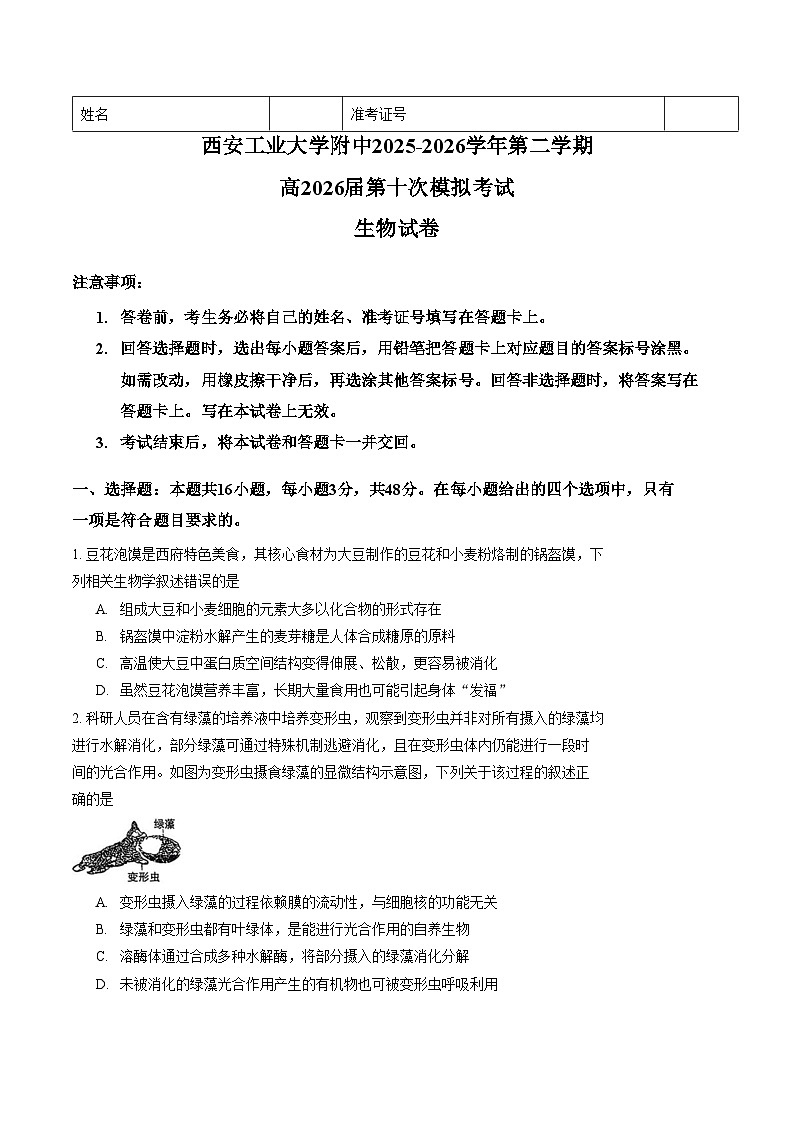 陕西西安工业大学附中2025_2026学年高三下学期第十次模拟考试生物试题（文字版，含答案）第1页