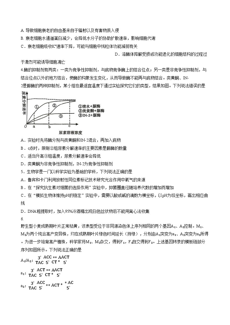 山东省实验中学（中心校区）2026届高三3月学情检测生物试题（文字版，含答案）第2页