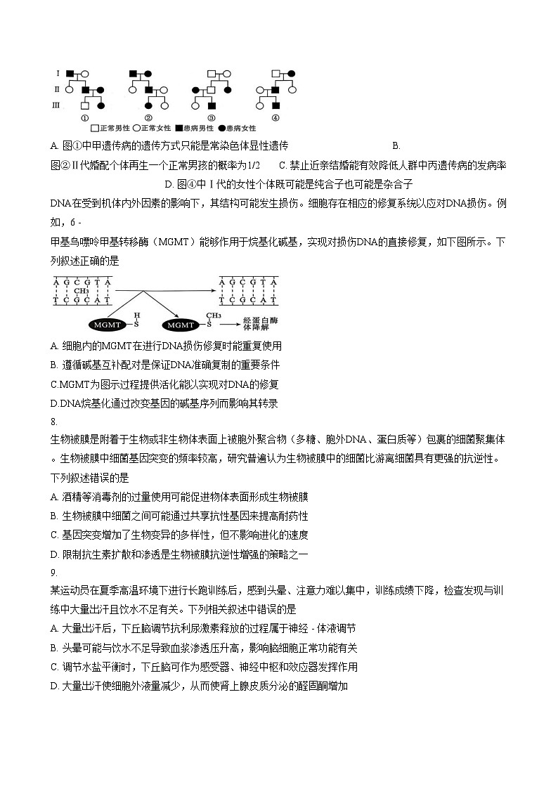 安徽省安庆市2026届高三二模生物试题（文字版，含答案）第3页