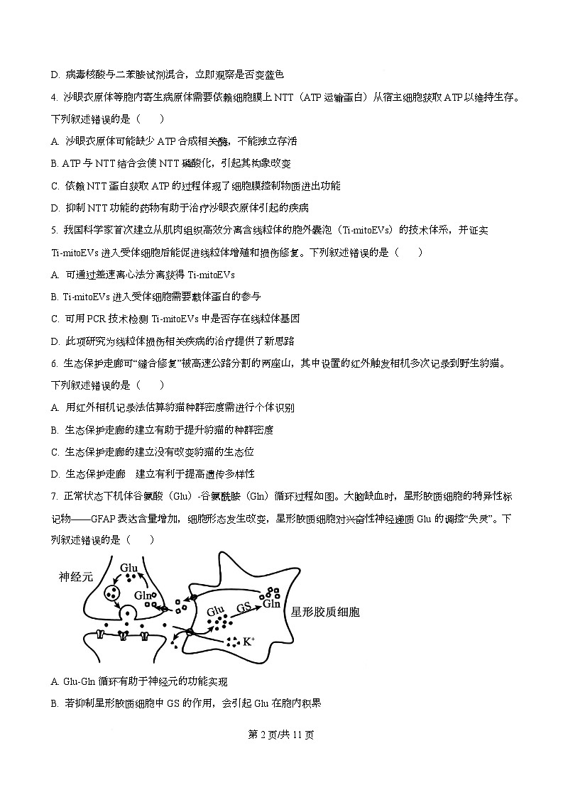 2026年广州市普通高中毕业班综合测试（一）生物试题 Word版无答案第2页