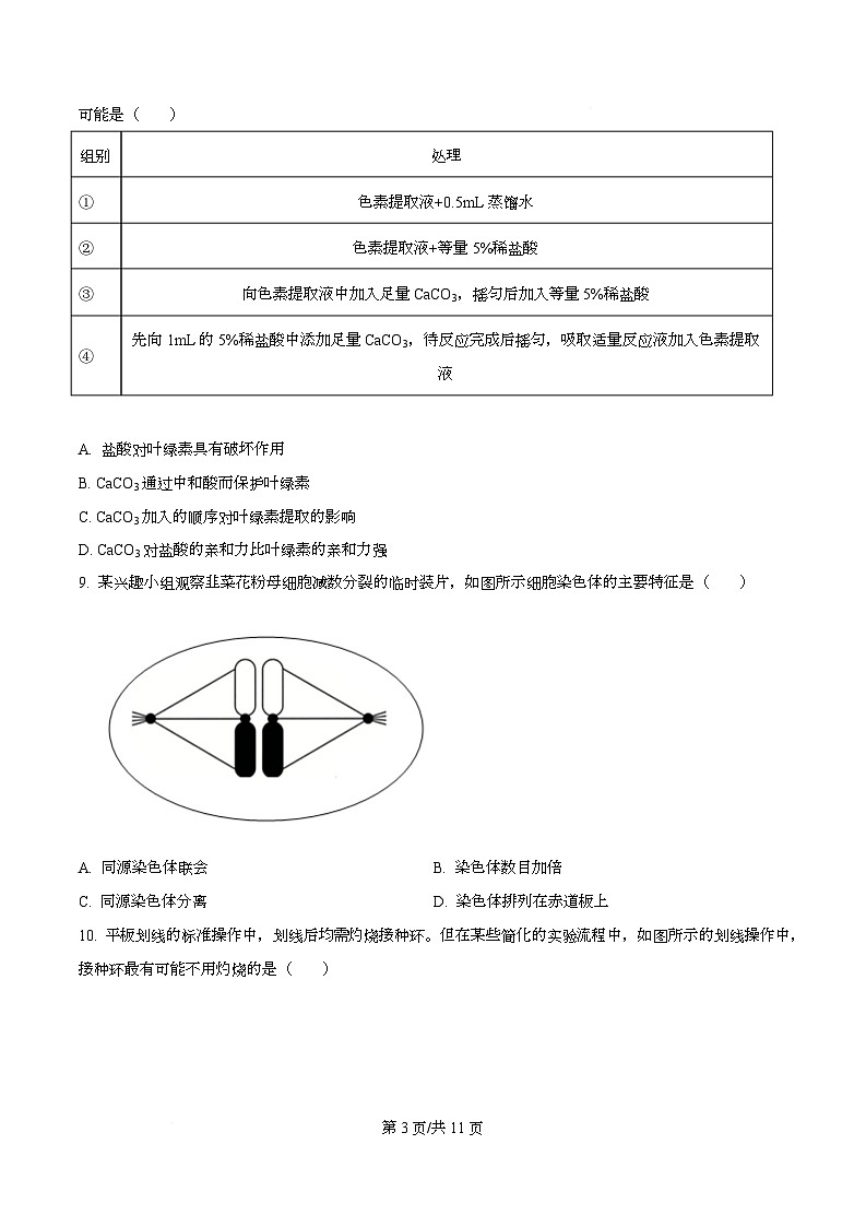 2026届广东省高三一模生物试题  Word版无答案第3页
