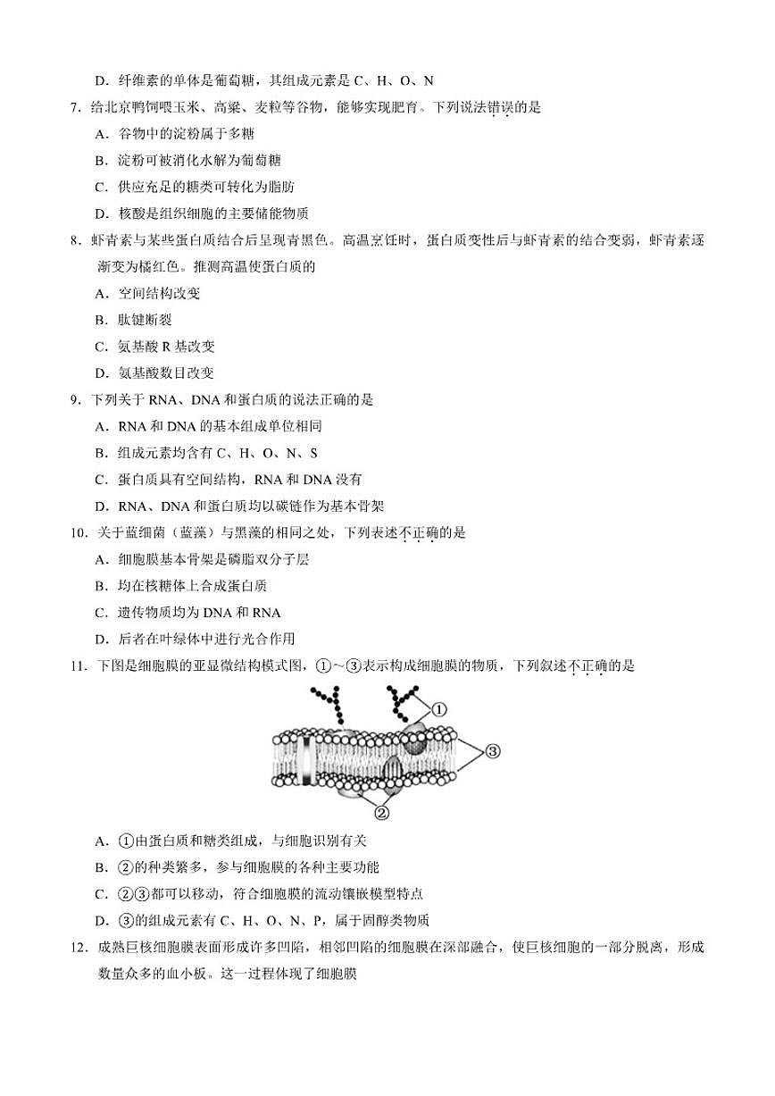 北京大学附属中学2025-2026学年高一上学期期中生物试卷（含答案）第2页