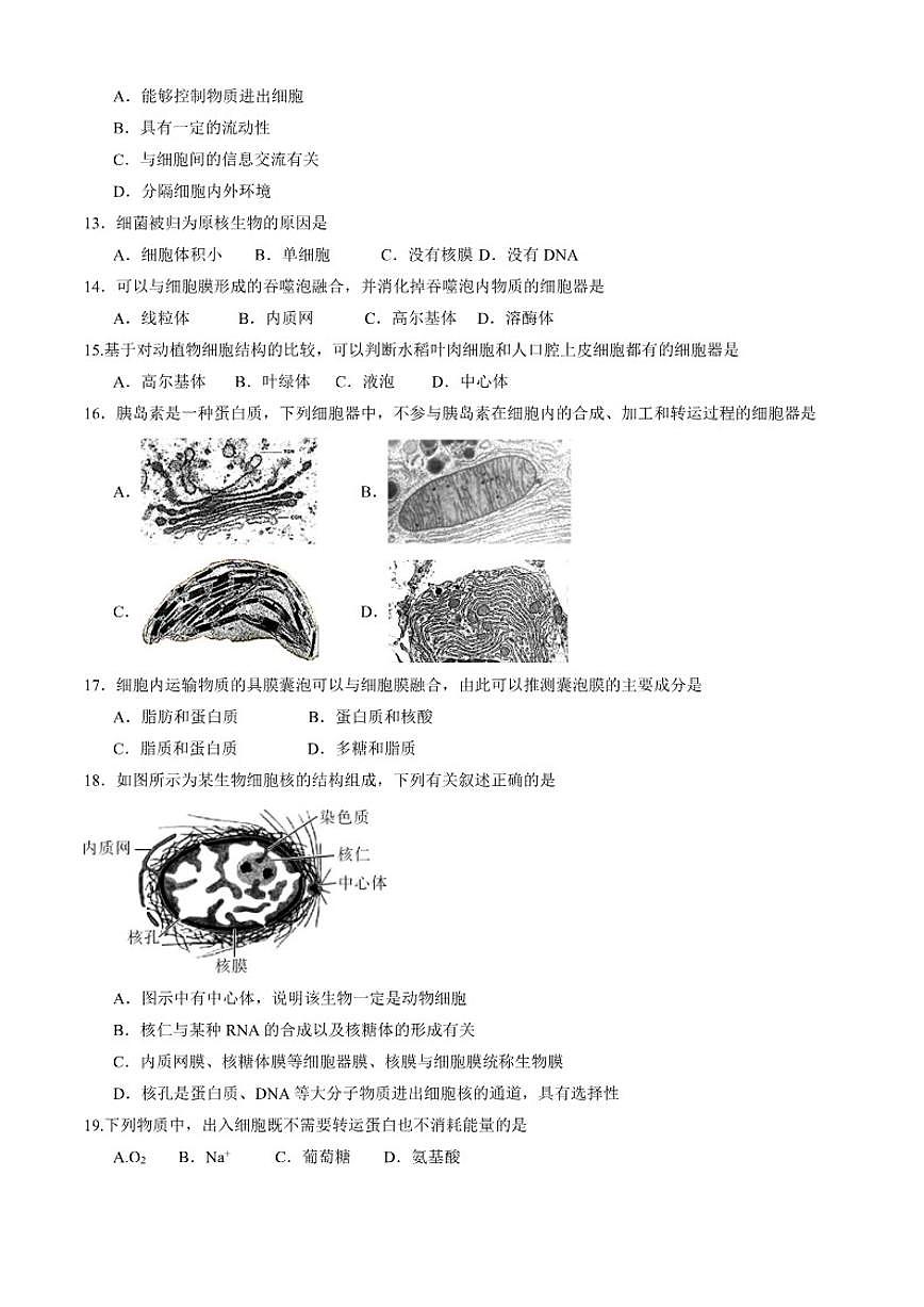 北京大学附属中学2025-2026学年高一上学期期中生物试卷（含答案）第3页