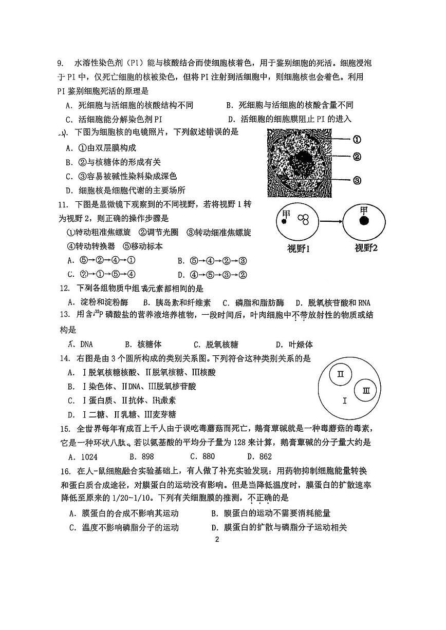 北京汇文中学2025—2026学年高一上学期期中考试生物试题（含答案）第2页