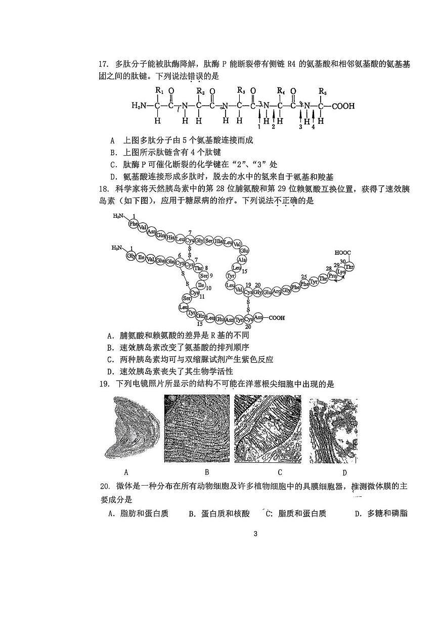 北京汇文中学2025—2026学年高一上学期期中考试生物试题（含答案）第3页