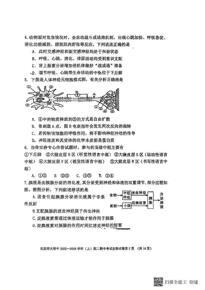 北京师大附中2025-2026学年高二上学期期中考试生物试卷（无答案）第2页