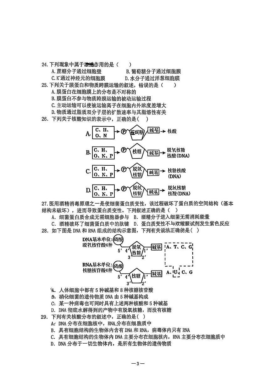 北京市北京理工大学附属中学2025—2026学年高一上学期期中考试生物试题（无答案）第3页