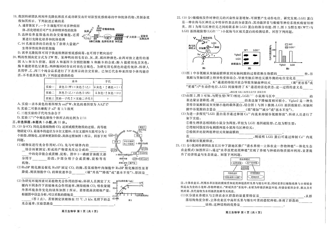 2026年辽宁点石联考高三下学期3月高考学情调研生物试卷第3页