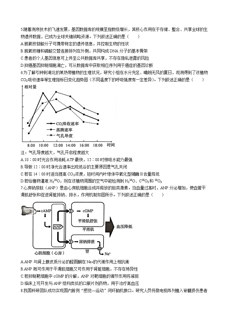 湖北省黄冈市2026届高三下学期3月第二次模拟考试 生物试卷（含解析）第2页