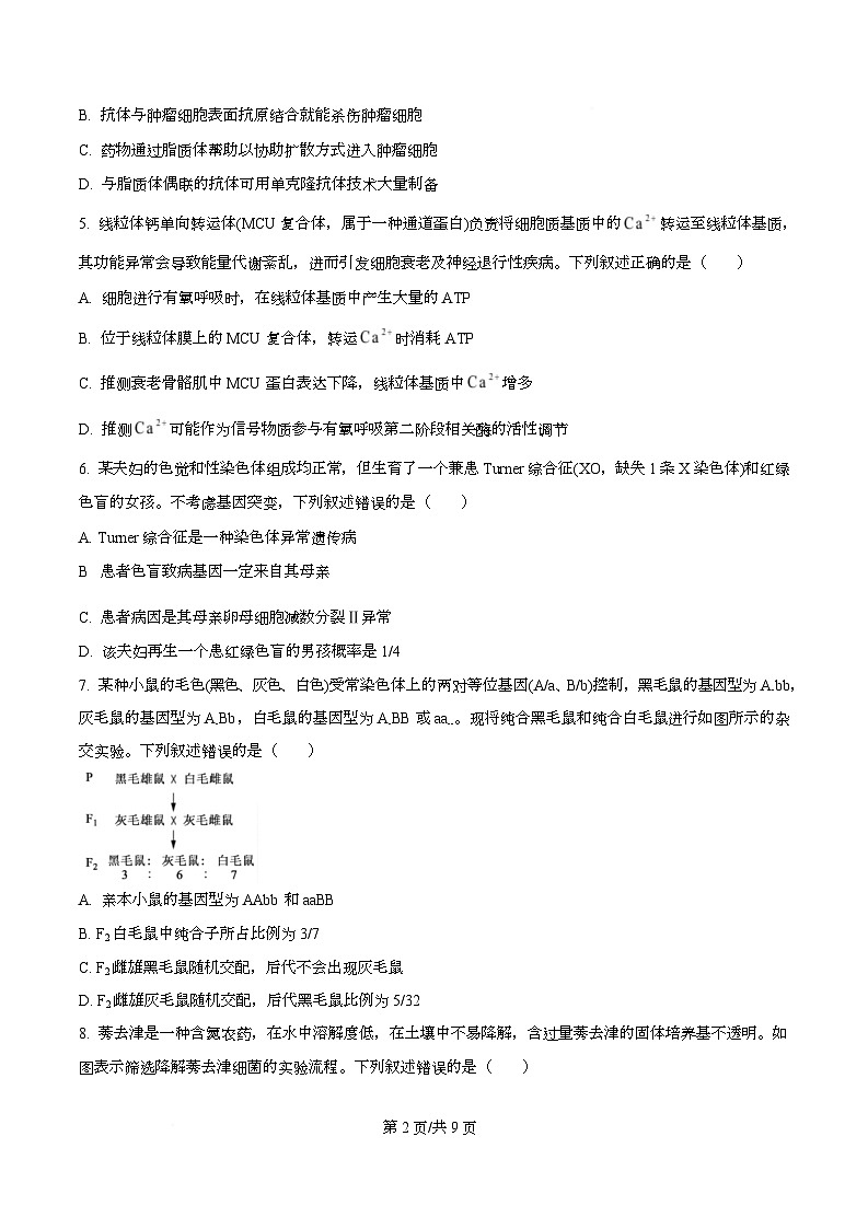 四川省攀枝花市三中2026届高三第2次调研监测生物学试卷（原卷版）第2页