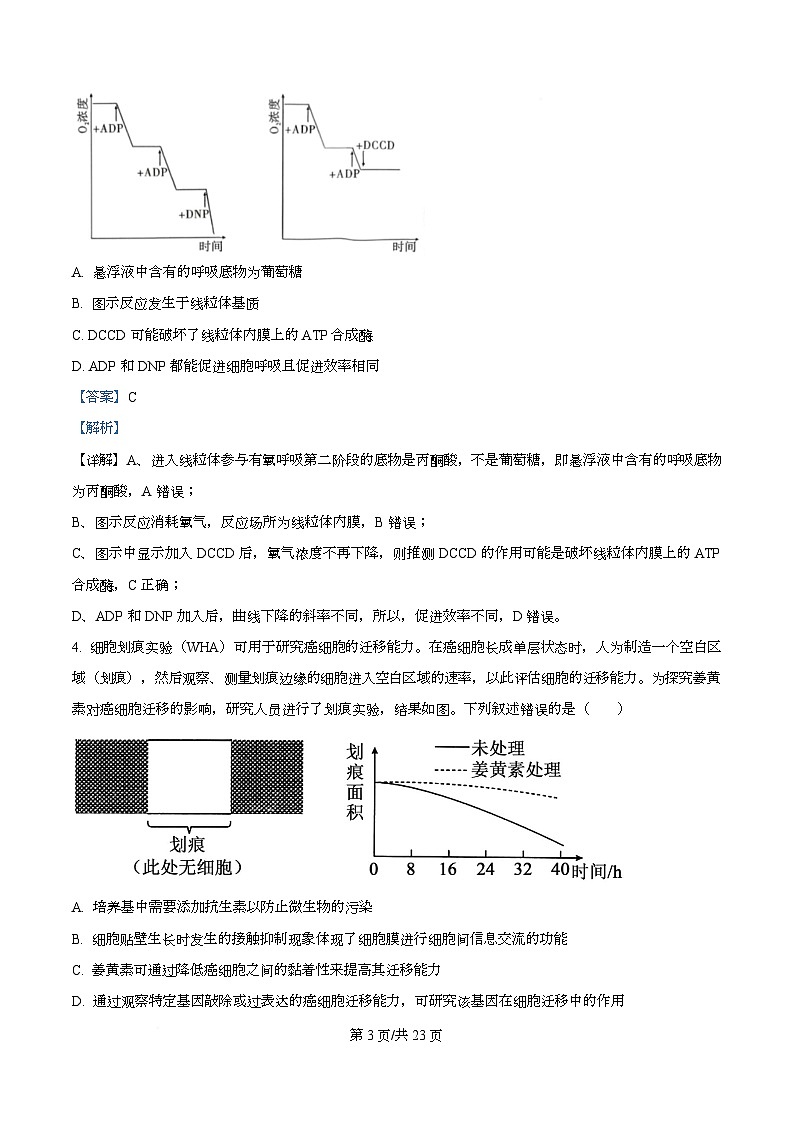 重庆八中2026届高三3月适应性月考（六） 生物试题 Word版含解析第3页