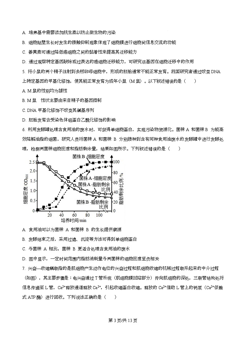 重庆八中2026届高三3月适应性月考（六） 生物试题（原卷版）第3页