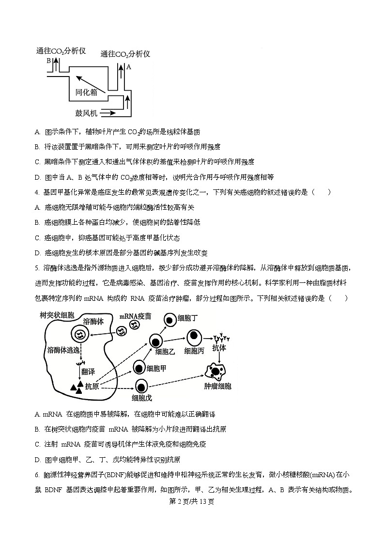 重庆市渝中区重庆市巴蜀中学2026届高三模拟预测生物试题（原卷版）第2页
