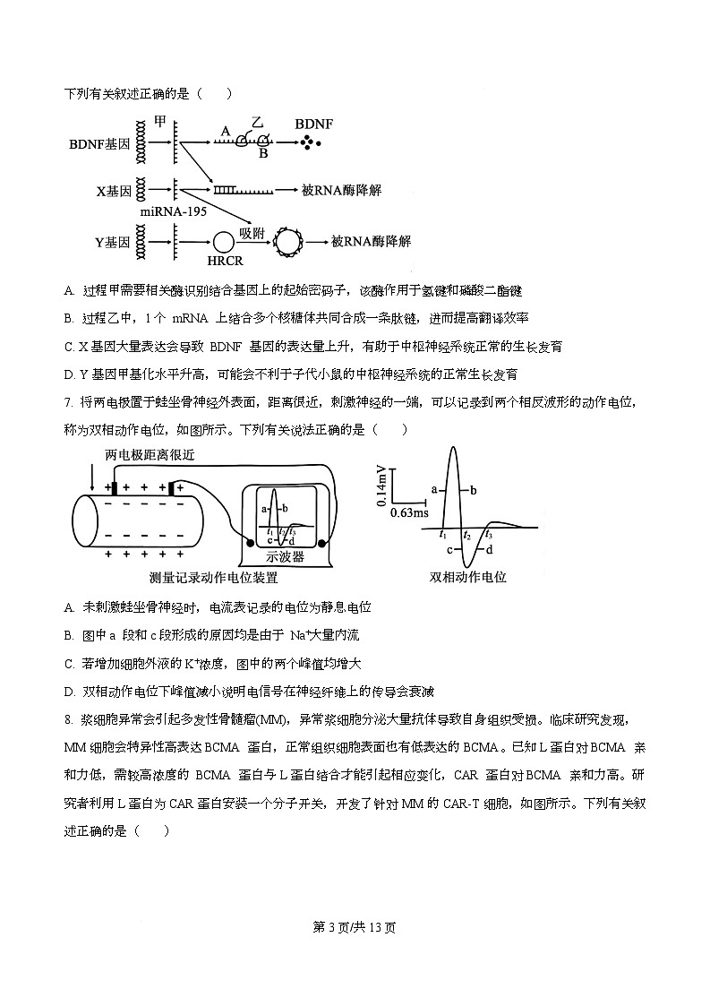 重庆市渝中区重庆市巴蜀中学2026届高三模拟预测生物试题（原卷版）第3页