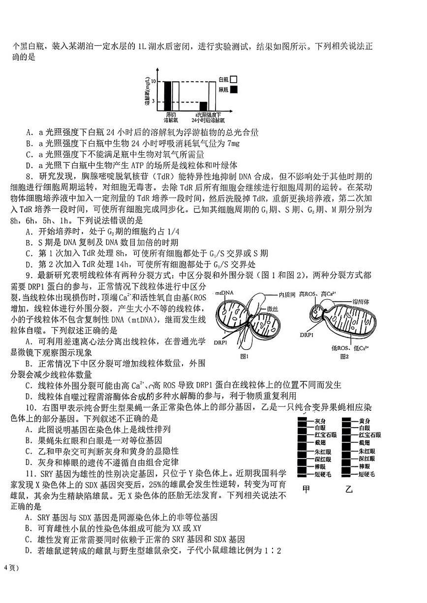 北京市海淀区十一学校2023-2024学年高一上学期期末考试生物试题（有答案）第2页