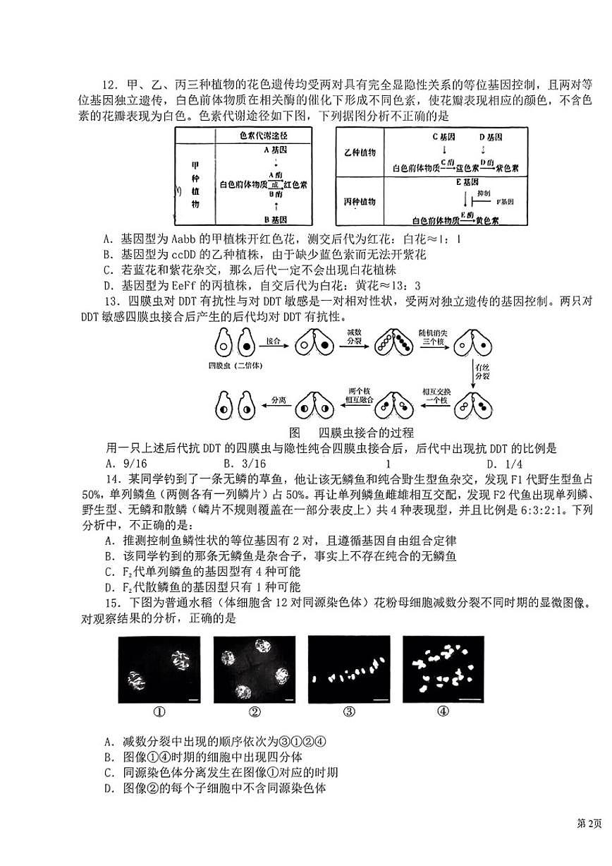 北京市海淀区十一学校2023-2024学年高一上学期期末考试生物试题（有答案）第3页
