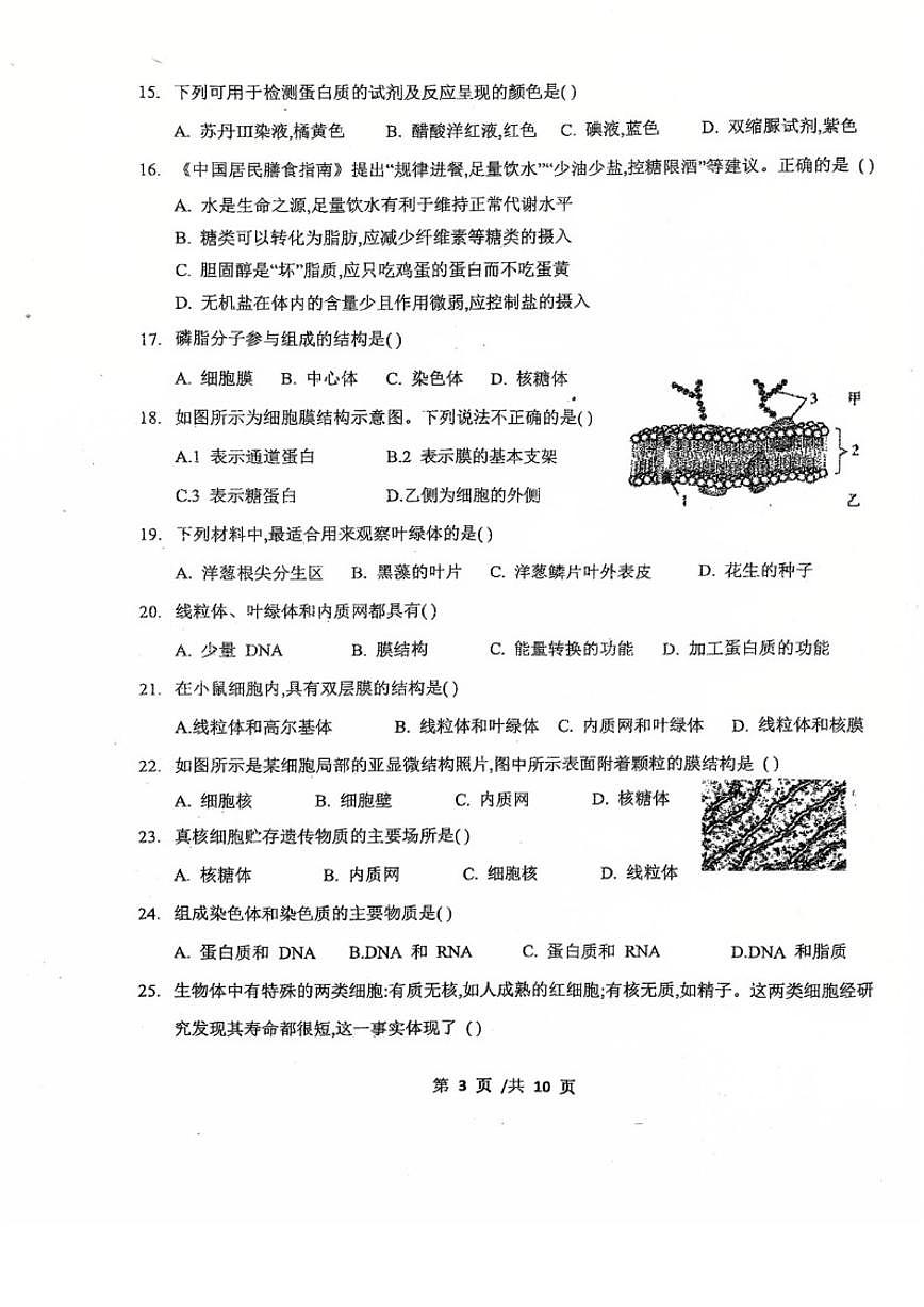 北京市第九中学2025-2026学年高一上学期期中生物试题_(无答案_)第3页