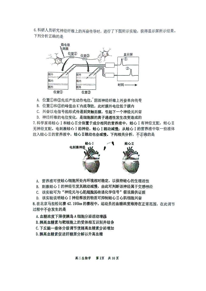 北京市丰台区2025-2026学年高二上学期期中生物试题_(无答案_)第2页