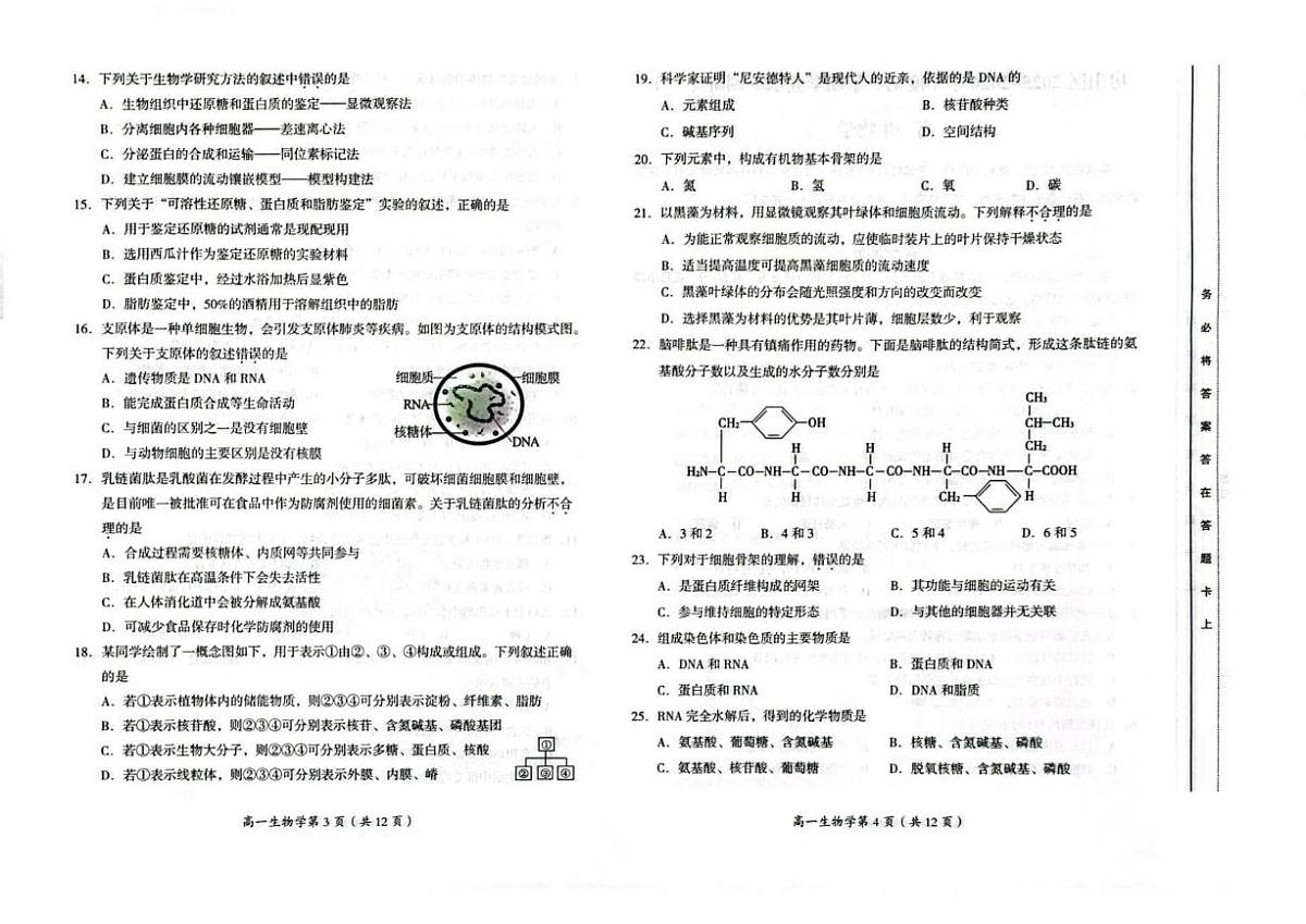 北京市房山区2025-2026学年高一上学期11月期中考试生物试题（无答案）第2页