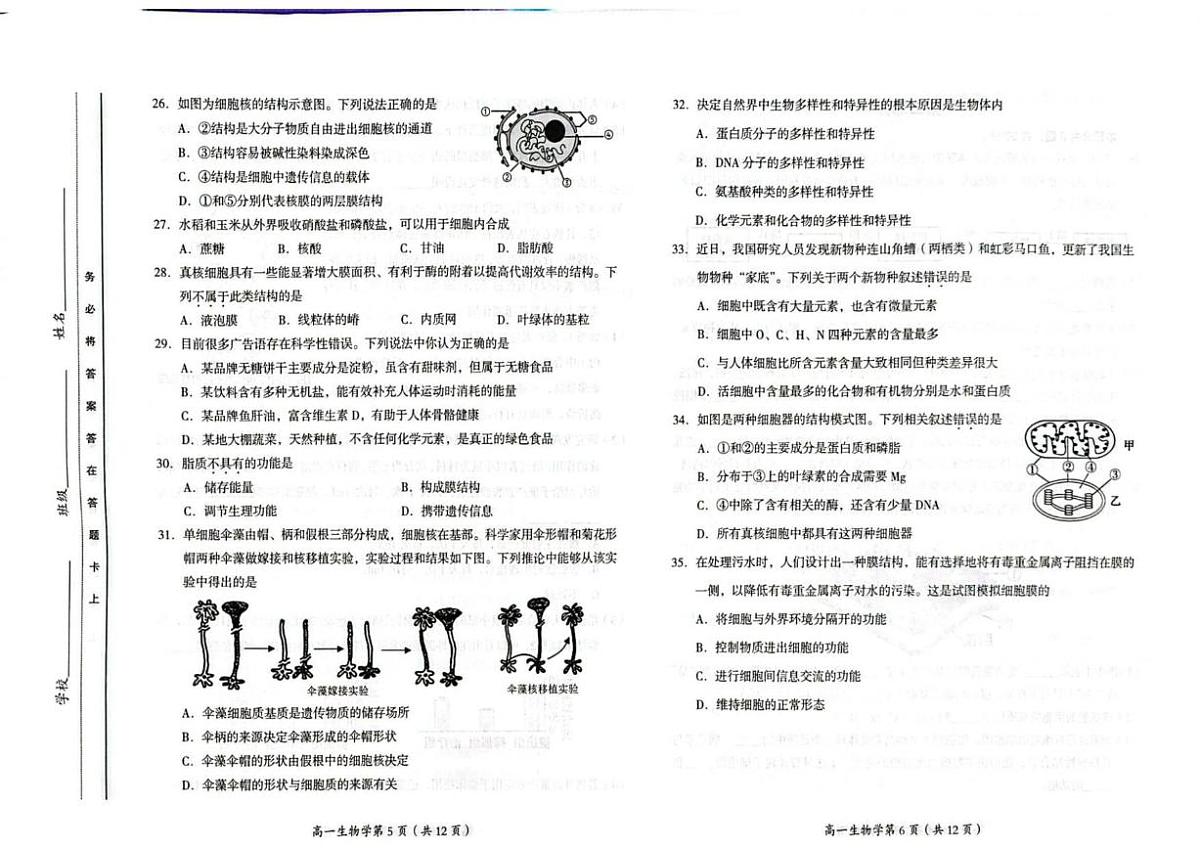 北京市房山区2025-2026学年高一上学期11月期中考试生物试题（无答案）第3页