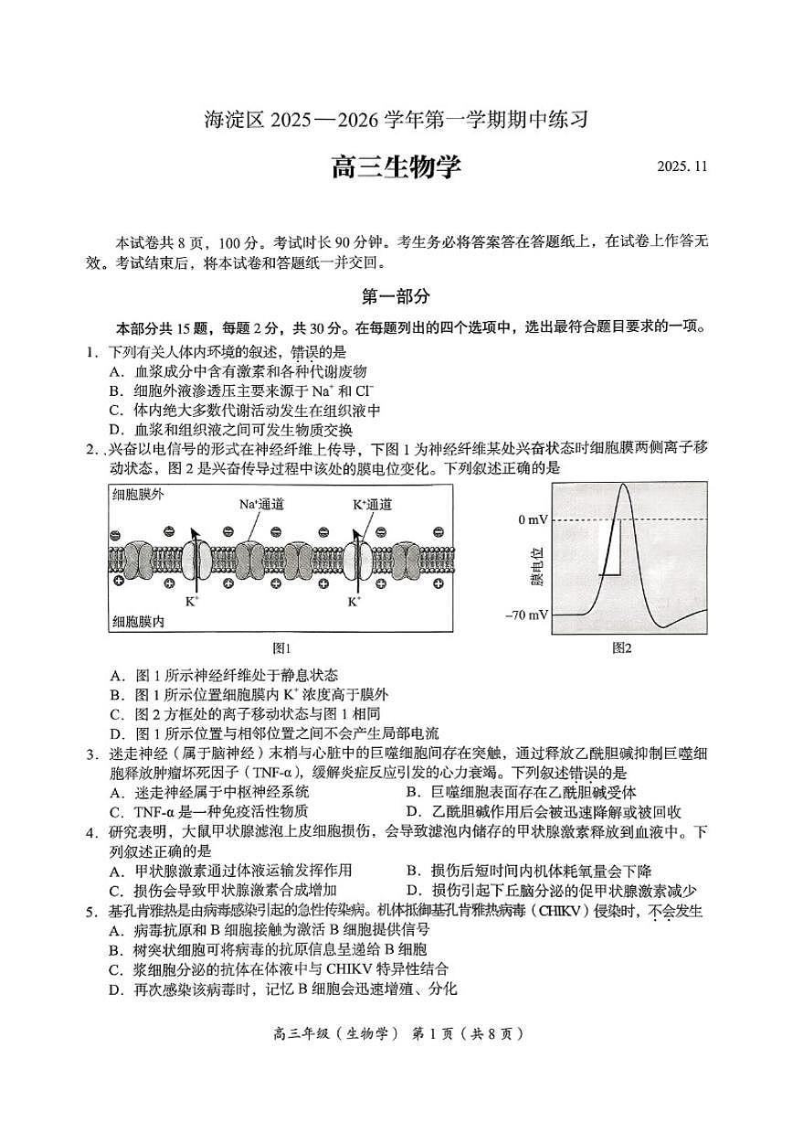 北京市海淀区2025-2026学年高三上学期期中生物试题（无答案）第1页
