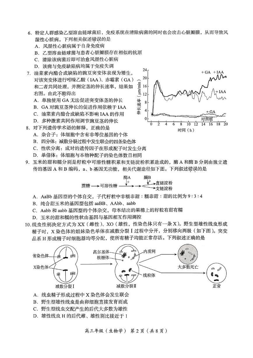 北京市海淀区2025-2026学年高三上学期期中生物试题（无答案）第2页