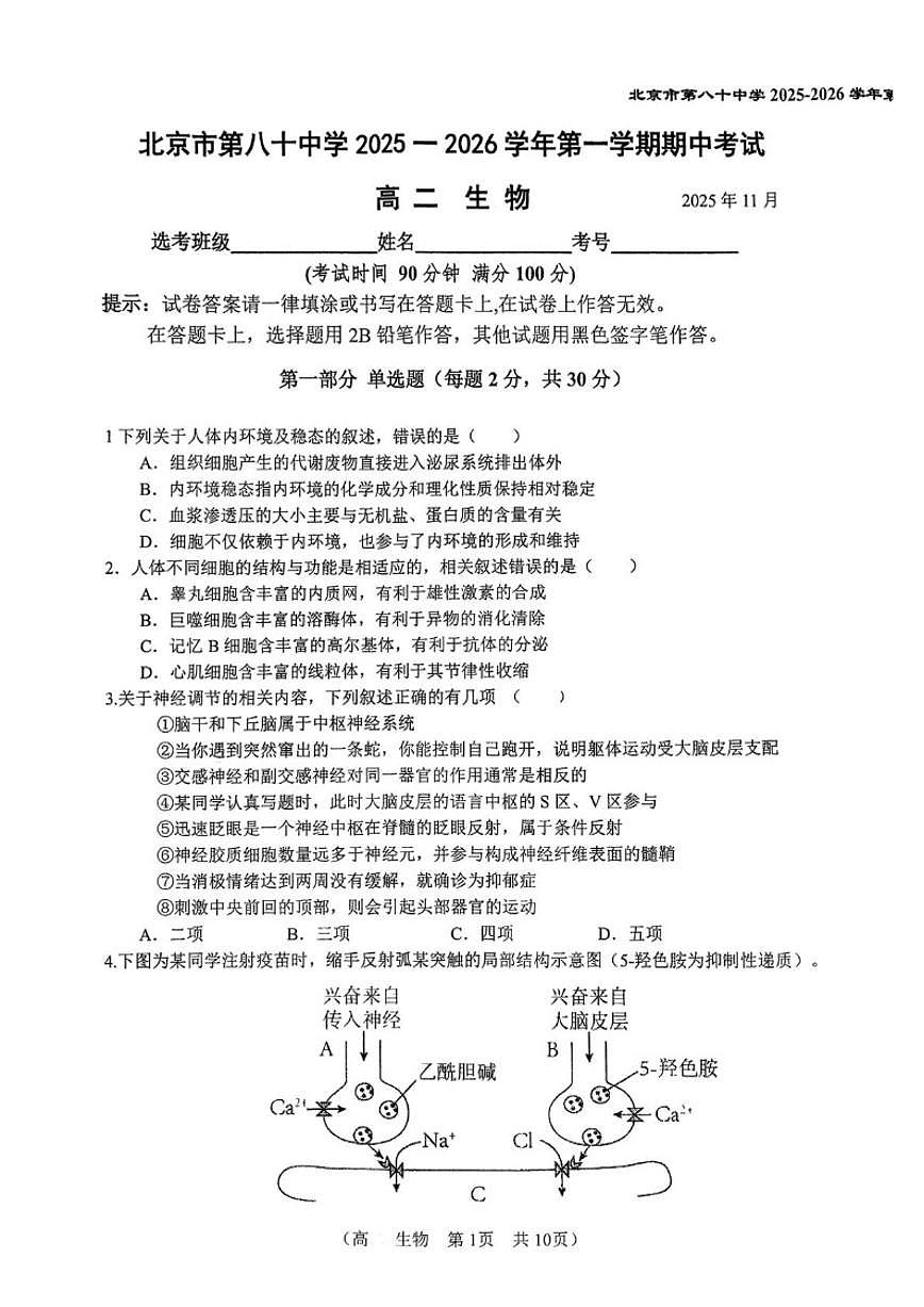 北京市第八十中学2025-2026学年高二上学期11月期中生物试题（无答案）第1页