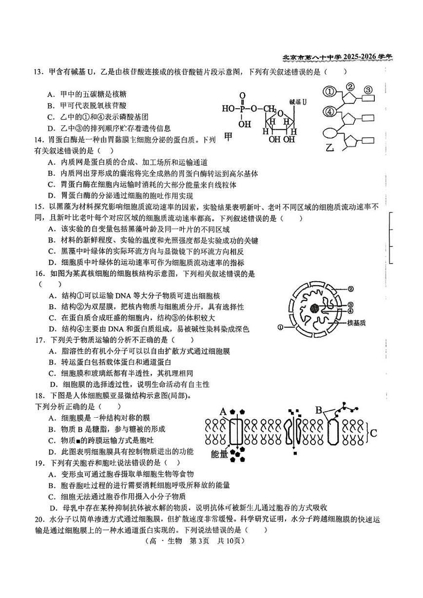 北京市第八十中学2025-2026学年高一上学期11月期中生物试题（无答案）第3页