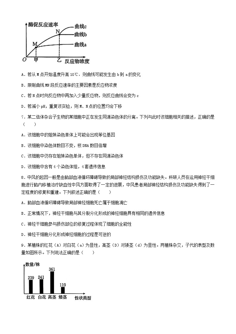 2025届河北金太阳高三上学期10月联考（10月24）生物试卷+答案第3页