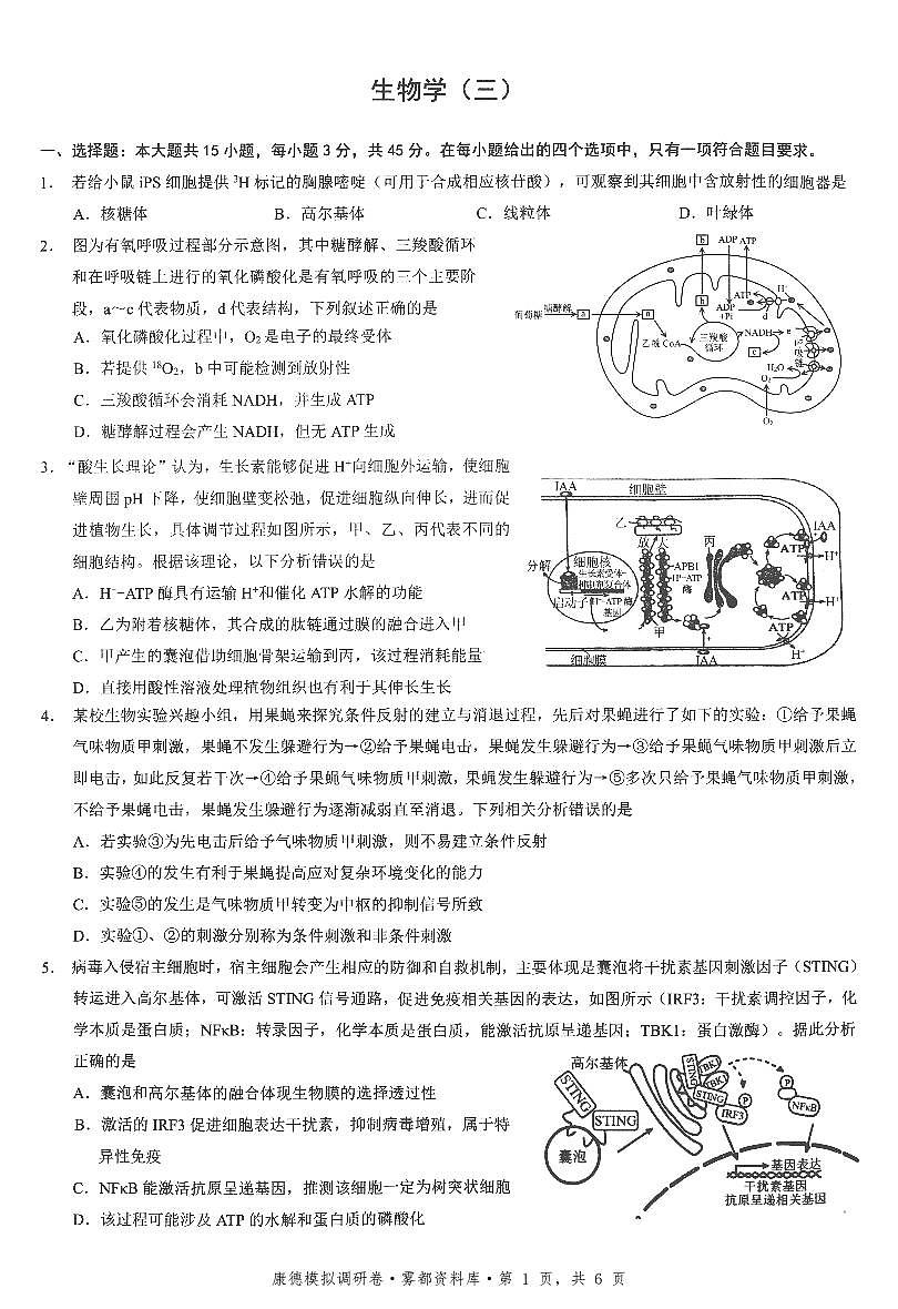 四川省康德联考2025-2026学年下学期高三高考调研三生物试卷含答案第1页
