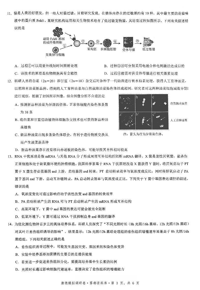 四川省康德联考2025-2026学年下学期高三高考调研三生物试卷含答案第3页
