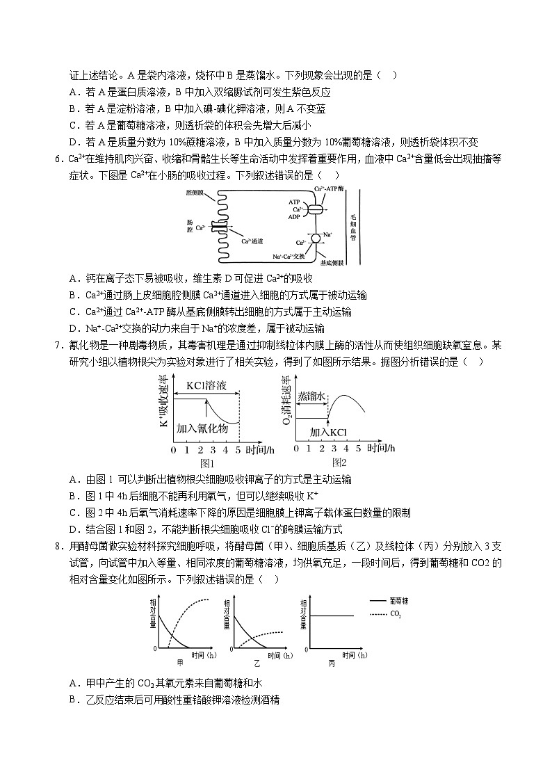 四川省成都市石室中学2023-2024学年高三上学期零诊模拟生物试卷（含答案）第2页