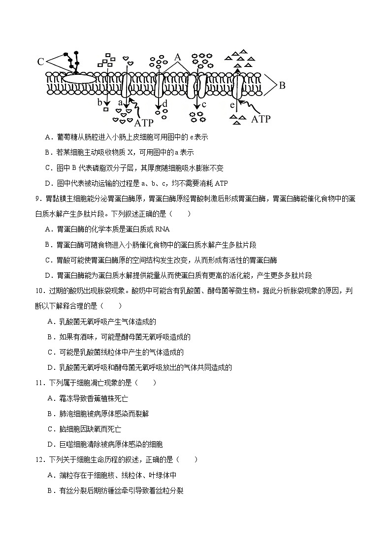 广西梧州市2025-2026学年高一上学期期末抽样检测生物试卷（Word版附答案）第3页
