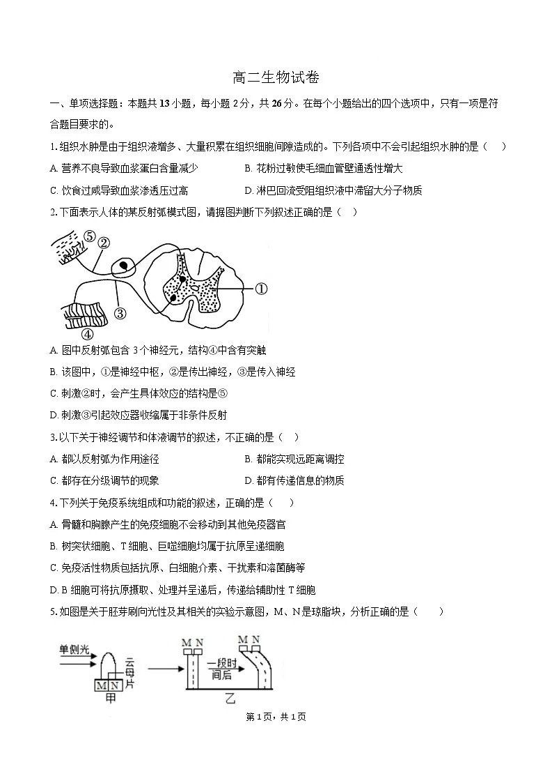 河北沧州市运东七县2025-2026学年高二上学期期末考试生物试卷（Word版附答案）第1页
