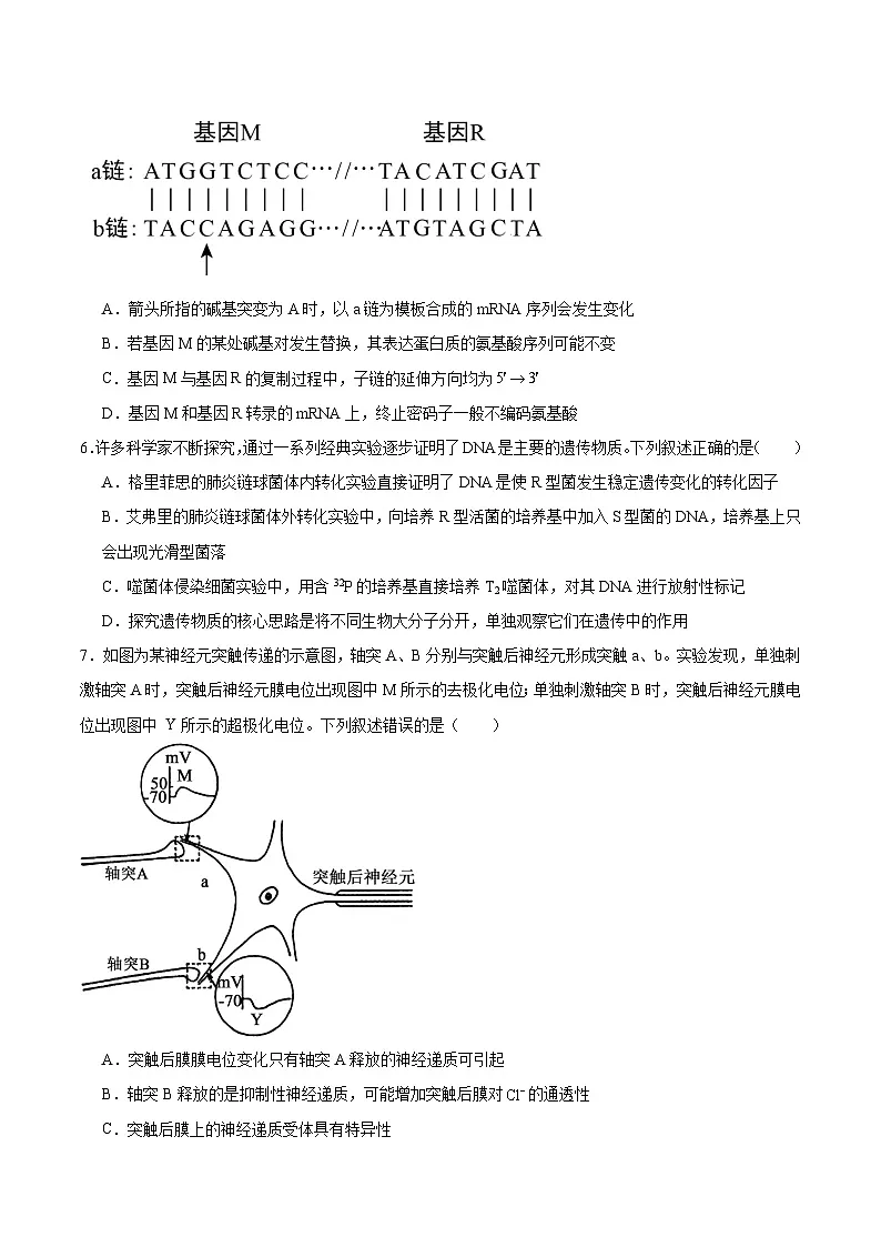 河北省衡水市第二中学2026届高三上学期期末考试生物试卷（Word版附答案）第2页