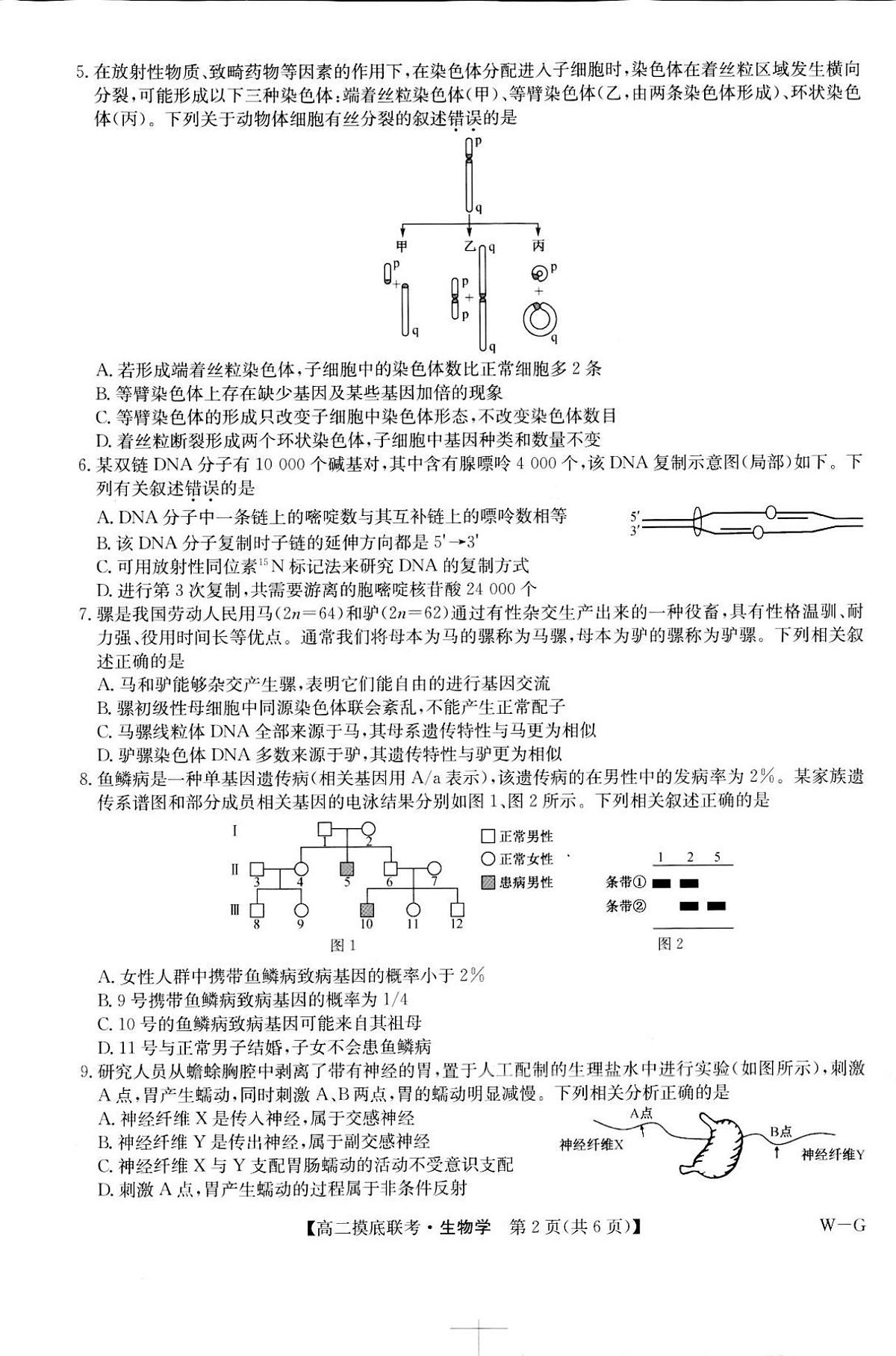 九师联盟全国重点高中2025届新高三上学期6月摸底联考生物试卷及答案第2页