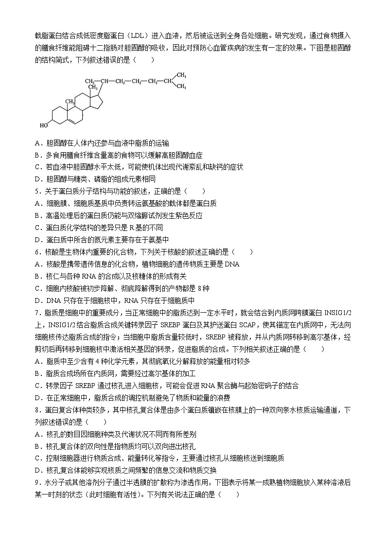 2025届百师联盟高三下学期一轮复习联考（一）生物试题（含解析）第2页