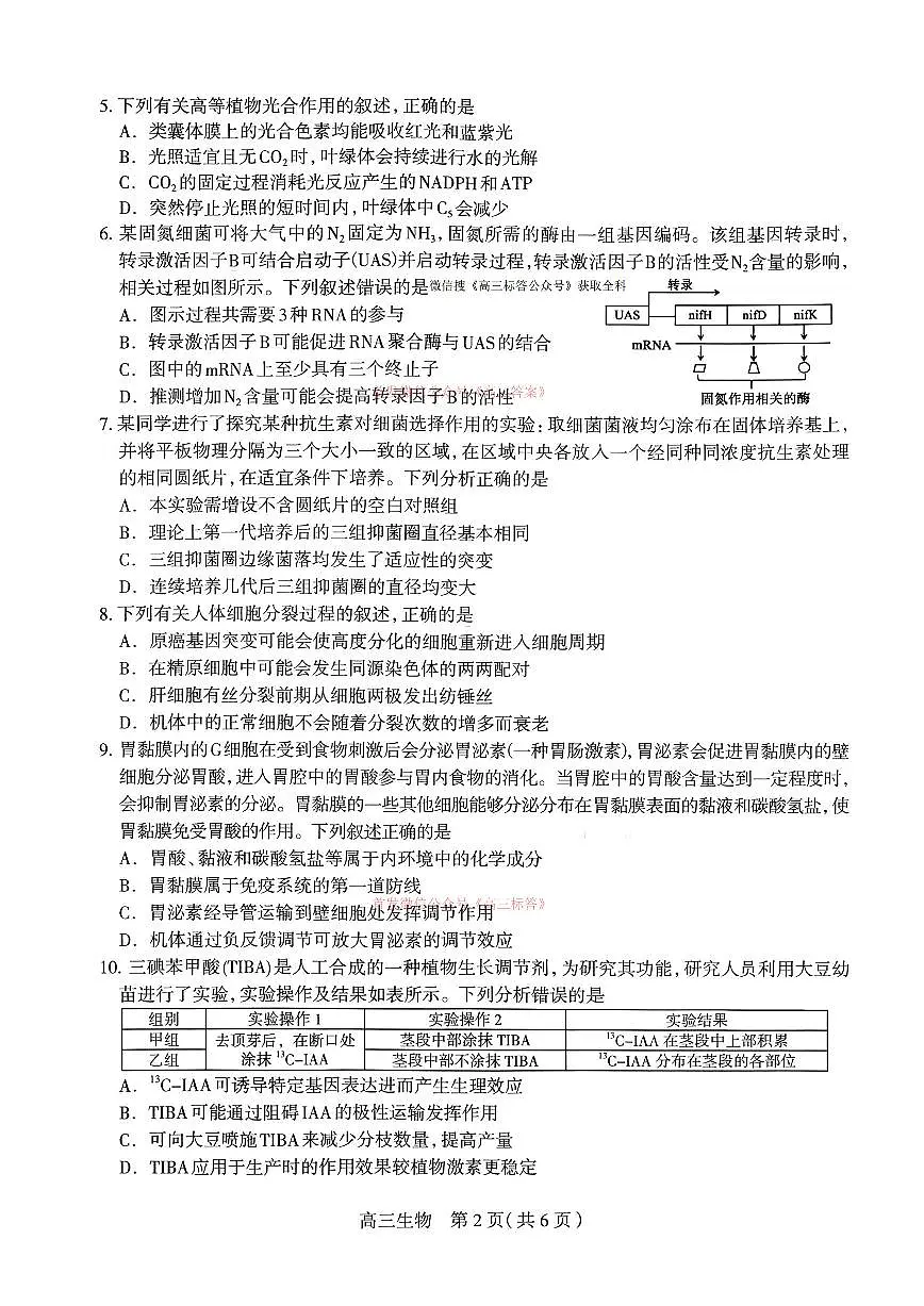 生物第2页