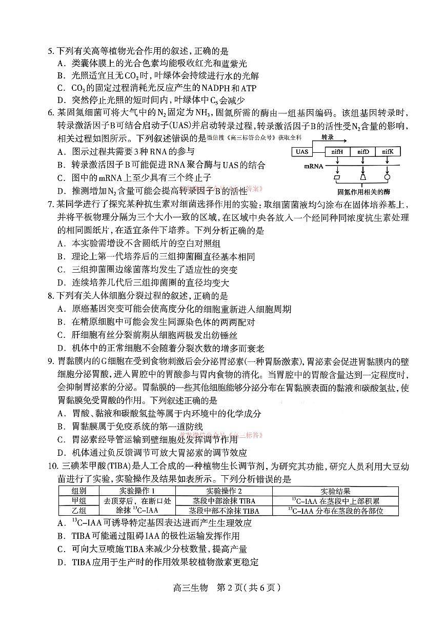 生物第2页
