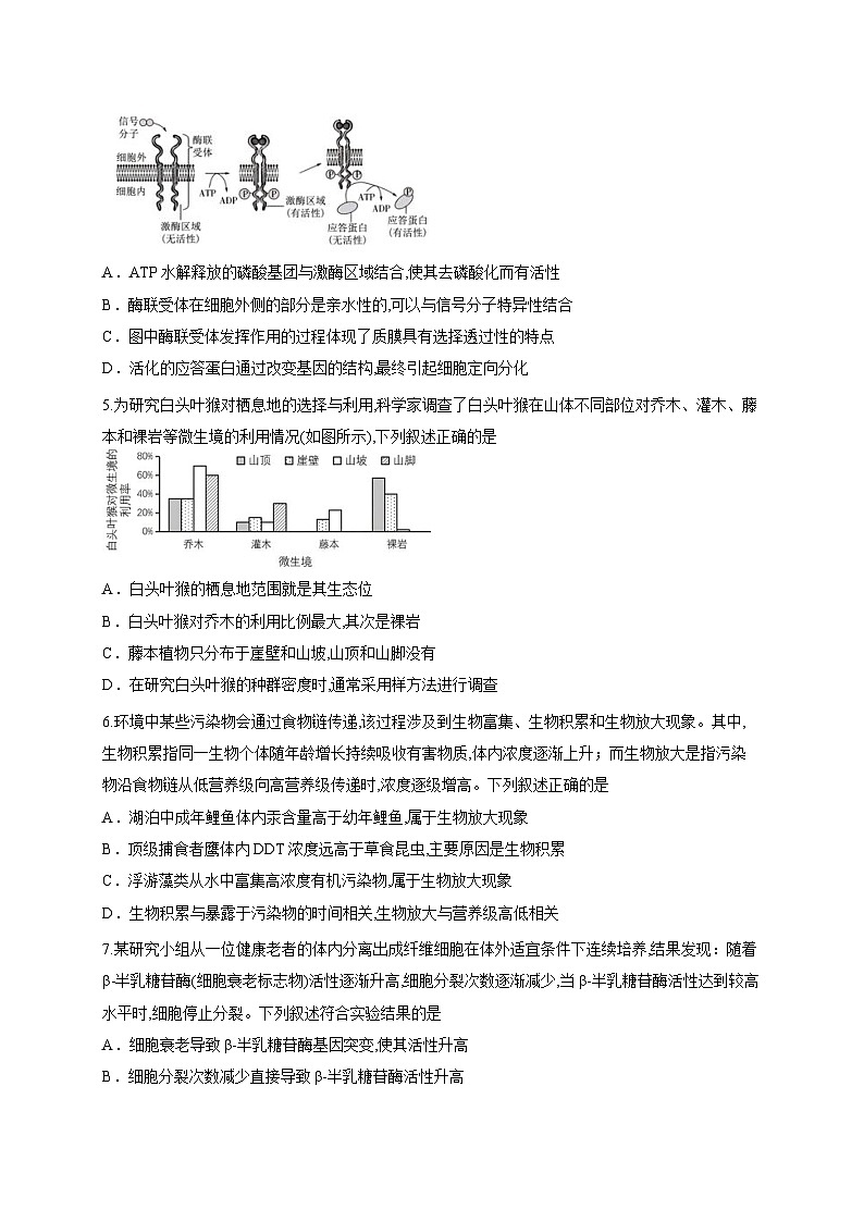 广西壮族自治区邕横教育名校联盟2025-2026学年高三上学期8月联合调研测试生物试题（含答案解析）第2页