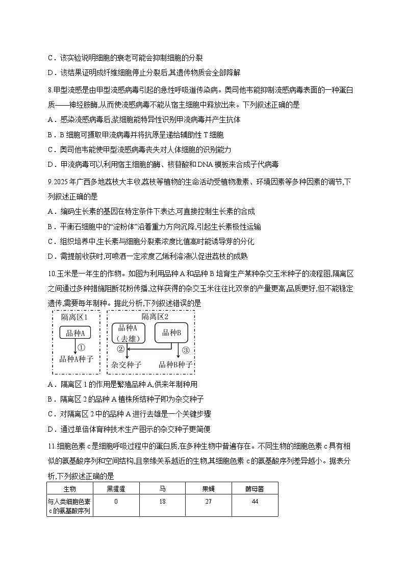 广西壮族自治区邕横教育名校联盟2025-2026学年高三上学期8月联合调研测试生物试题（含答案解析）第3页
