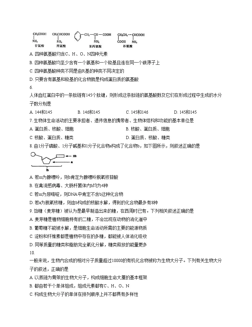 江苏省宿迁市2025_2026学年高一上学期期中调研生物试卷（文字版，含答案）第2页