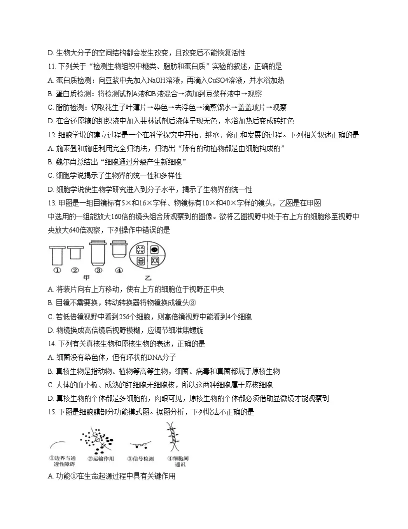 江苏省宿迁市2025_2026学年高一上学期期中调研生物试卷（文字版，含答案）第3页