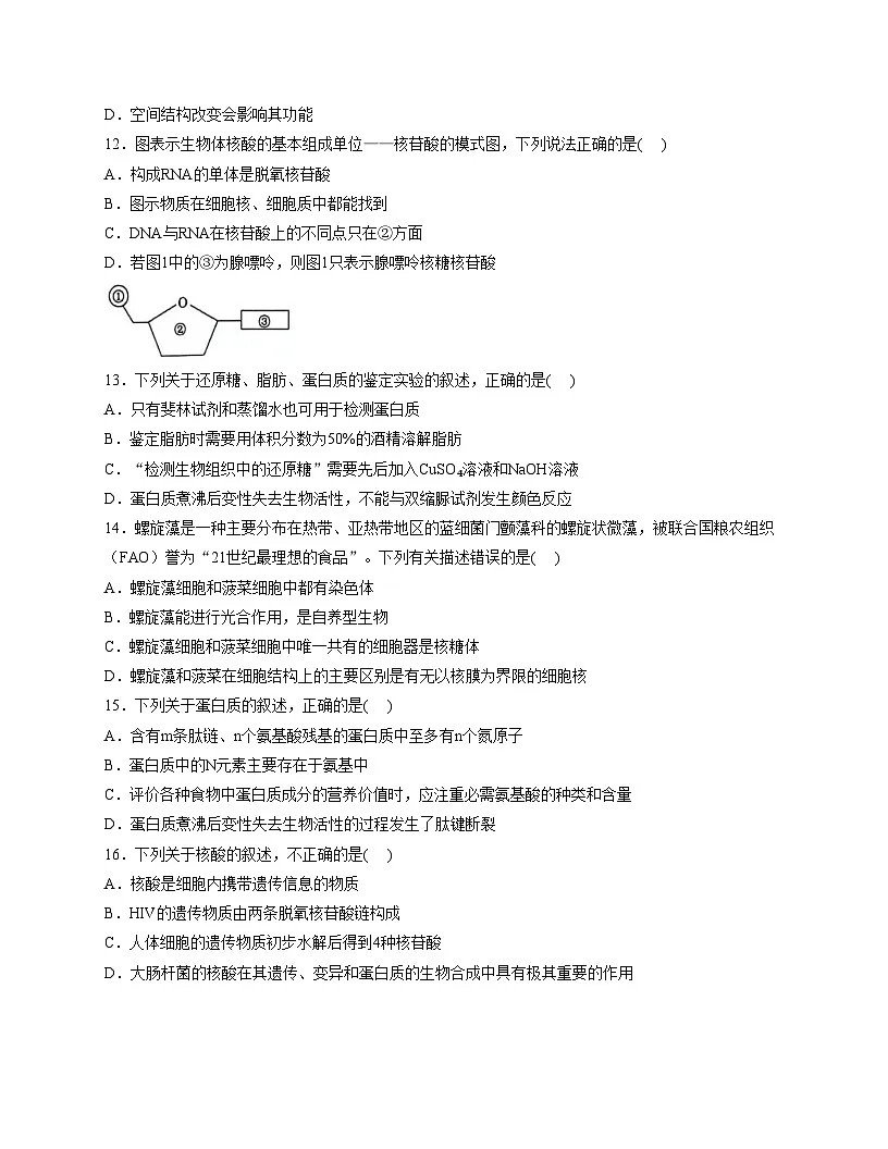广西壮族自治区钦州市共美学校2025_2026学年高一上学期11月期中生物试题（文字版，含答案）第3页