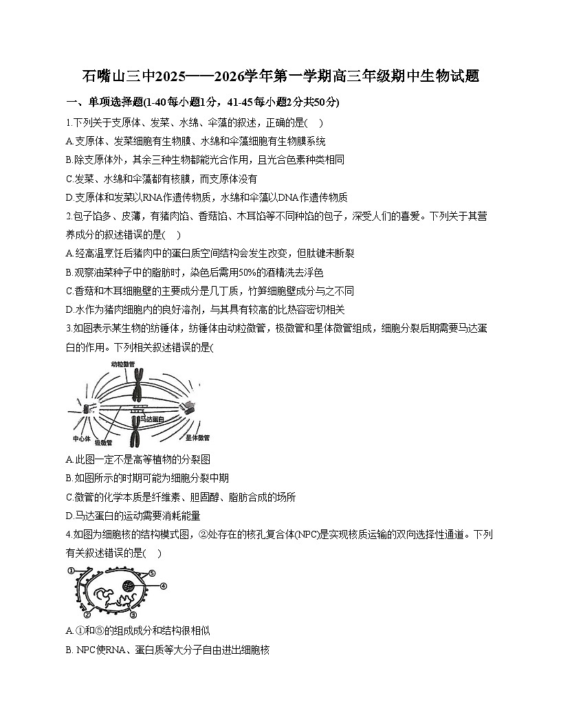 宁夏回族自治区石嘴山市第三中学2025_2026学年高三上学期11月期中生物试题（含答案）第1页