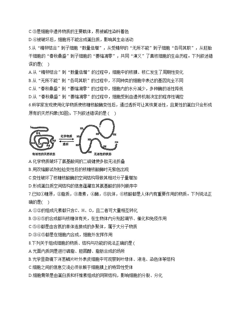 宁夏回族自治区石嘴山市第三中学2025_2026学年高三上学期11月期中生物试题（含答案）第2页